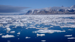 Morze Grenlandzkie pak lodowy
