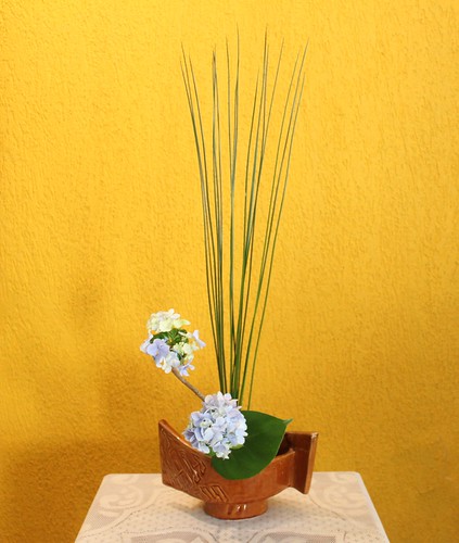 Moribana with hydrangea and juncus by Ligia Ikebana