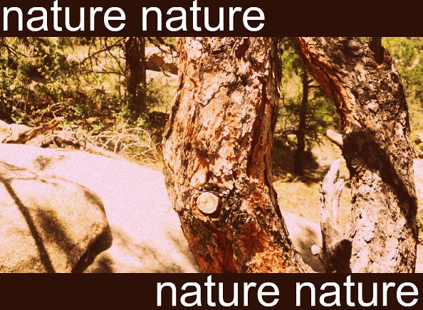nature nature