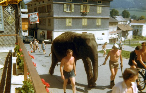 Aida the elephant "Lucy" on location for the film Hannibal Brooks