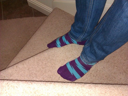 Socks on Holiday by pmorley26