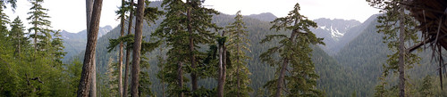 Olympic National Park August 2011
