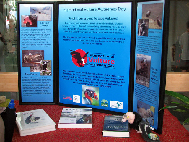 Vulture information display