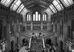 London, UK (Natural History Museum) - 2011