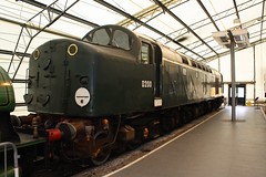 Class 40 D200