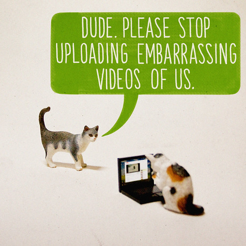 What If Cats Were Using The Internet All Along?
