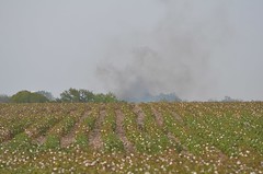 Pflugerville Brushfire, Texas, September 2011