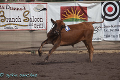 Creston Classic Rodeo 2011