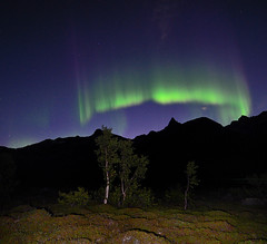 Northern Lights, Aurora borealis