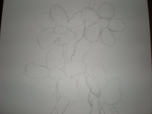 Cherry Blossom Sketch