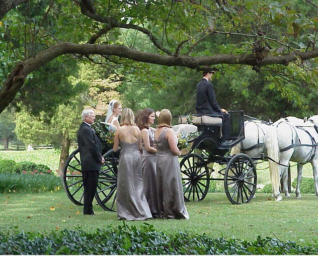 Elegant wedding at Chippokes Plantation State Park