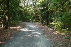 Junction Trail