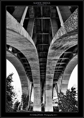 Pasadena Bridge Structure