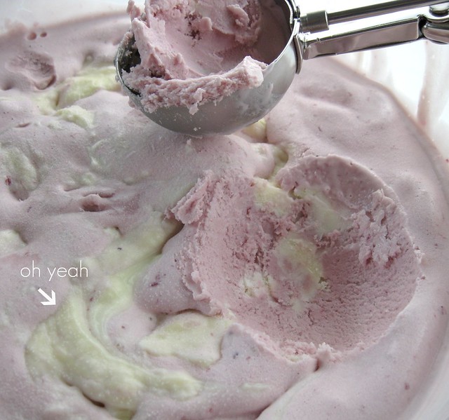 blackberry coulis ice cream with salty white chocolate-cream cheese swirls