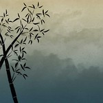 Free Bamboo Stock BackgroundsEtc Wallpaper -  Asparagus Fern Green