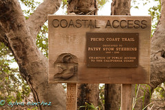 AVILA: Pecho Coast trail to Rattlesnake trail