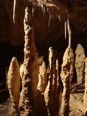 Bears Cave, Romania