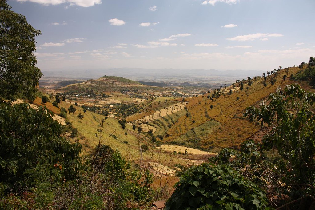 Beautiful undulating farmland in the hills of Northern Ethiopia's Gondar region. Photo by Marta Semu