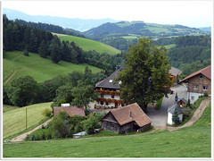 Schwarzwald - Foret Noire