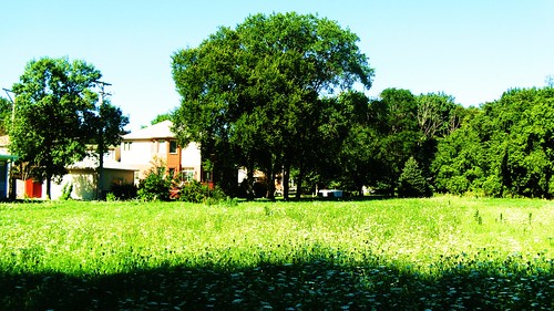 Lovely meadow scenery in the neighborhood.  Morton Grove Illinois USA. August 2011. by Eddie from Chicago