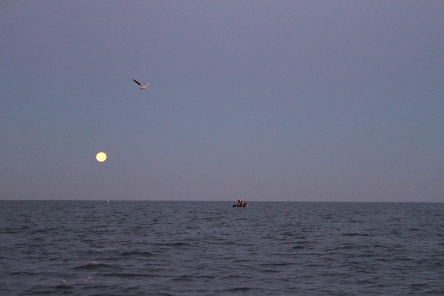 the moon, a boat, a swimmer, and a seagull