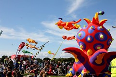 Festival of Kites, 2011