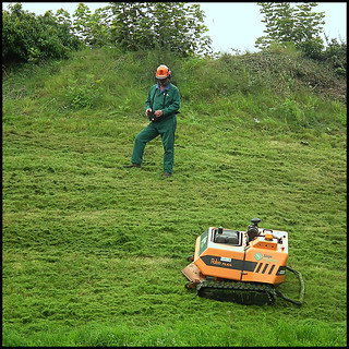 grass cutting robot