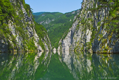 Drina River Canyon  / Tara National Park  - Explored