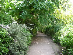 garden paths and tree lined streets