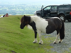 Dartmoor 11-07-2011