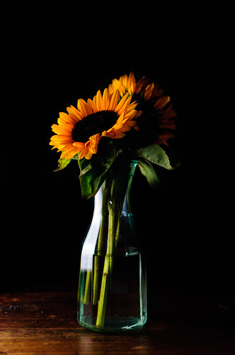 無料写真素材|花・植物|向日葵・ヒマワリ|花瓶