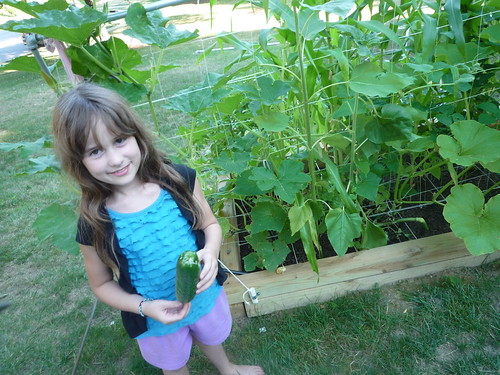 Ana picks a cucumber
