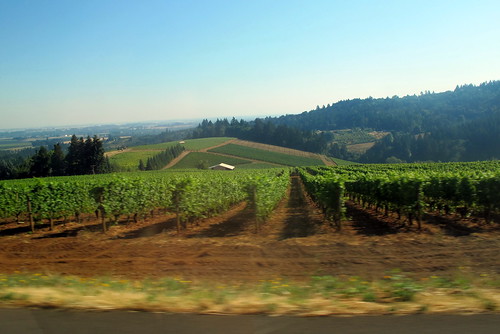 Dundee Oregon - Wine Country
