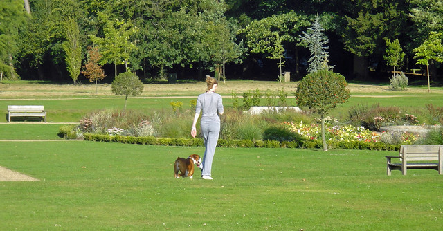 Reigate Priory Park - Aug 2011 - Girl Walks Dog Candid