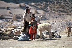 Perú  2005