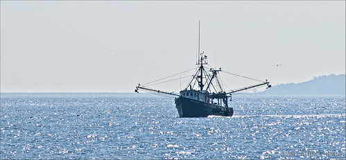 fishing offshore by Alida's Photos