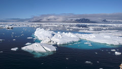 Morze Grenlandzkie pak lodowy