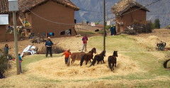 Huanchayllo, Ancash, Peru