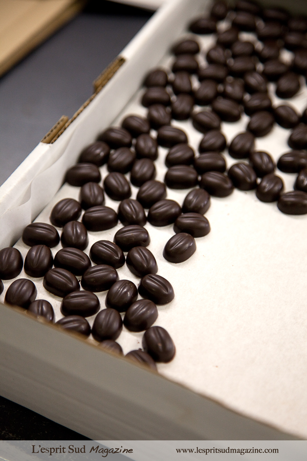 Grain de café dark - Puyricard chocolate atelier