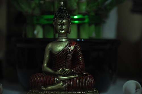 Dhyana mudra - Meditation Buddha