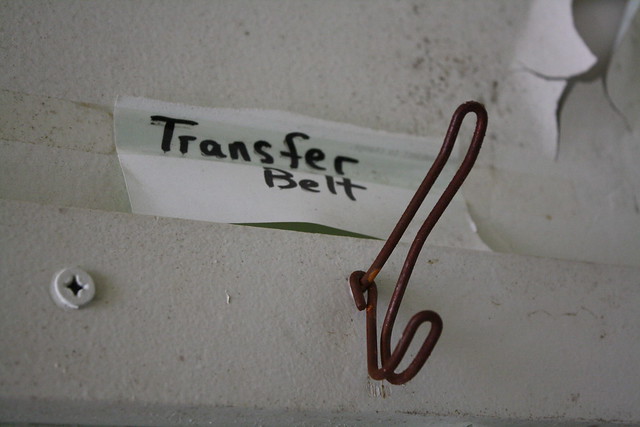 Transfer Belt