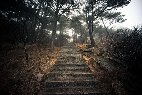 Stairs - Huangshan, China by wilsonchong888
