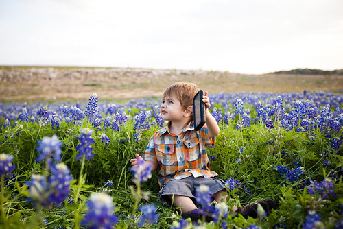 Anthony in Bluebonnets-0014