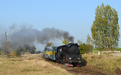 Polish Steam