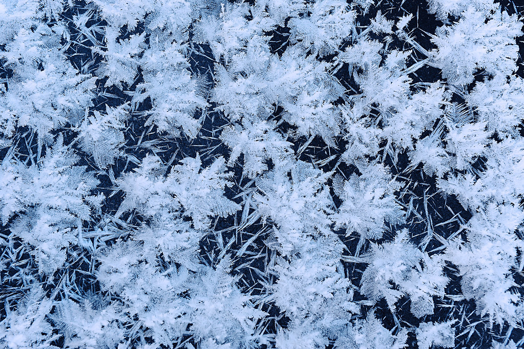 snow flake texture