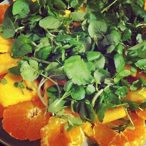 Orange-persimmon salad 2