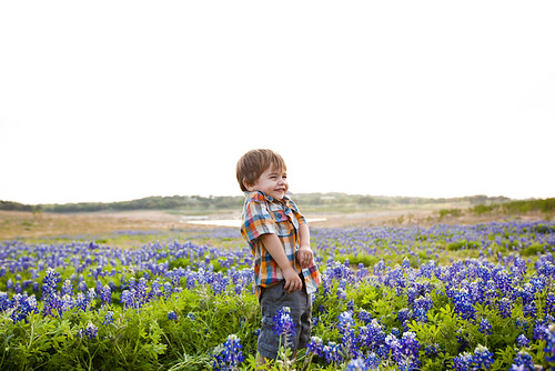 Anthony in Bluebonnets-0007