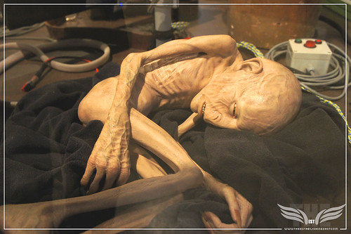 The Establishing Shot: The Making of Harry Potter Tour - Creature Shop Voldemort's mangled soul in Limbo by Craig Grobler