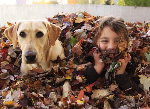 hangin' in the leaf pile