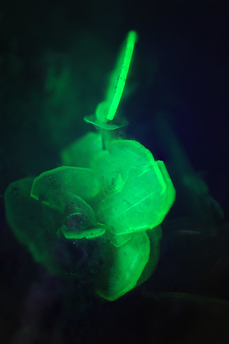 Autunite(Fluorescence)